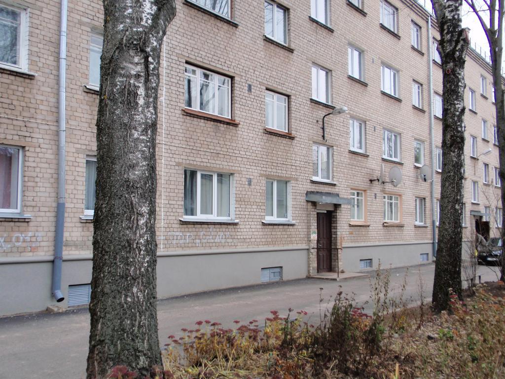Central Cietoksna Street Apartment Daugavpils Exterior photo